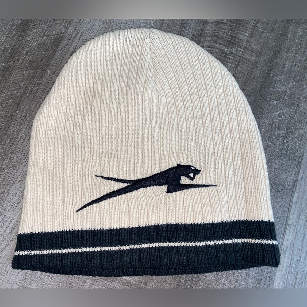 Attic wear beanie